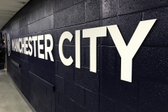 März 2019 - Manchester, Etihad Stadium